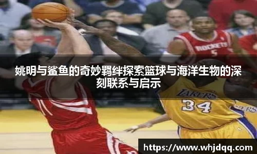 姚明与鲨鱼的奇妙羁绊探索篮球与海洋生物的深刻联系与启示